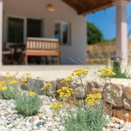 Villa Albina
